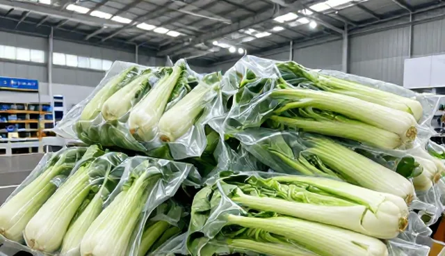 食品代加工服务供应链优化建议与应用场景分析